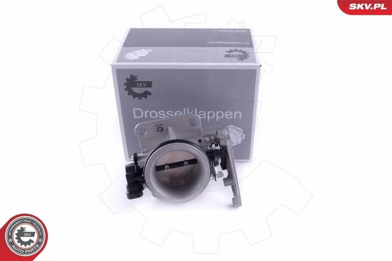 Throttle Body